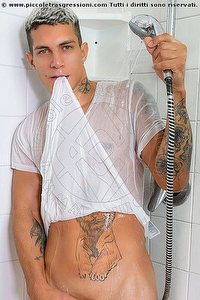 BRAYAN XL TORINO<br><span class=