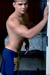 ADONIS VARCATURO<br><span class=